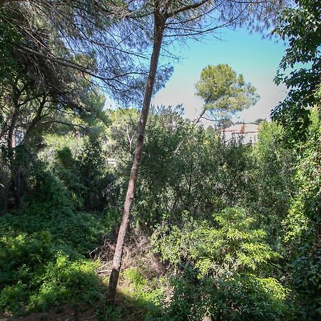 Carmel Boutique Apartments - Urban Forest Haifa Exterior foto